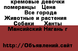 кремовые девочки померанцы › Цена ­ 30 000 - Все города Животные и растения » Собаки   . Ханты-Мансийский,Нягань г.